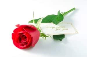 Valentine’s Day Recap at Lago Mar
