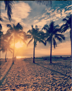 New Summer, New Food, New Beach Club Director