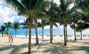 Fall Updates at Lago Mar