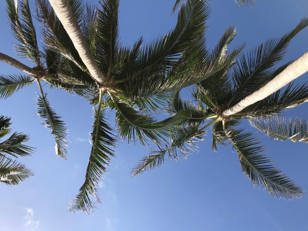 Fort Lauderdale Air Show and Cinco de Mayo