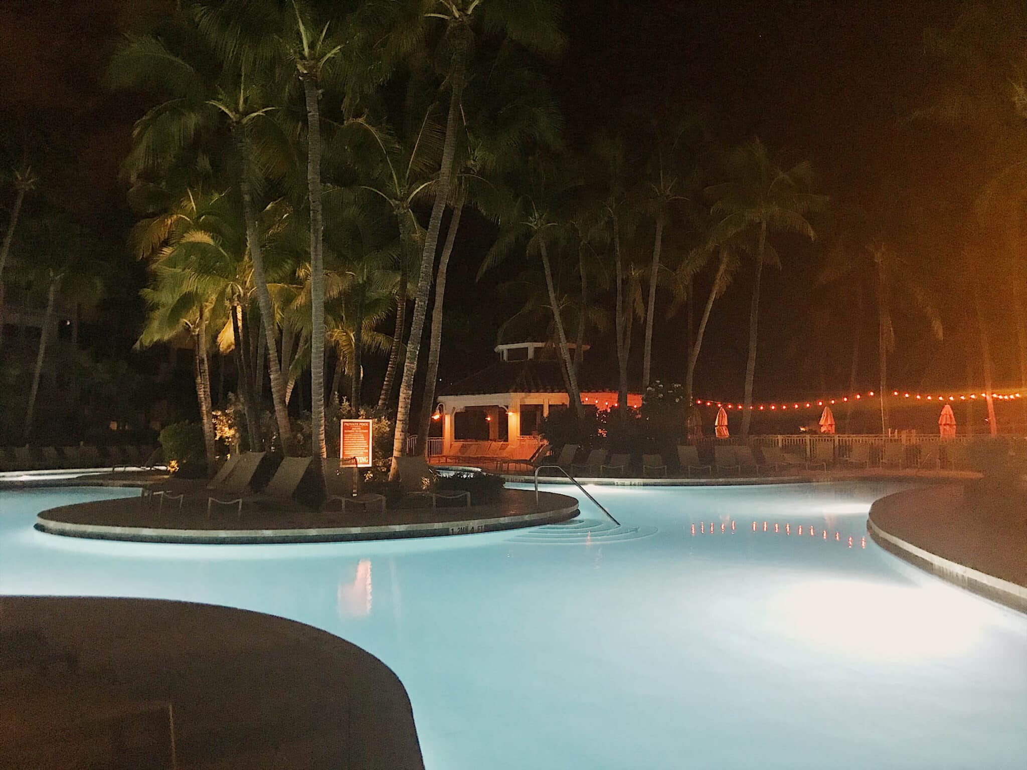 Updates for Guests and Nesting Turtles