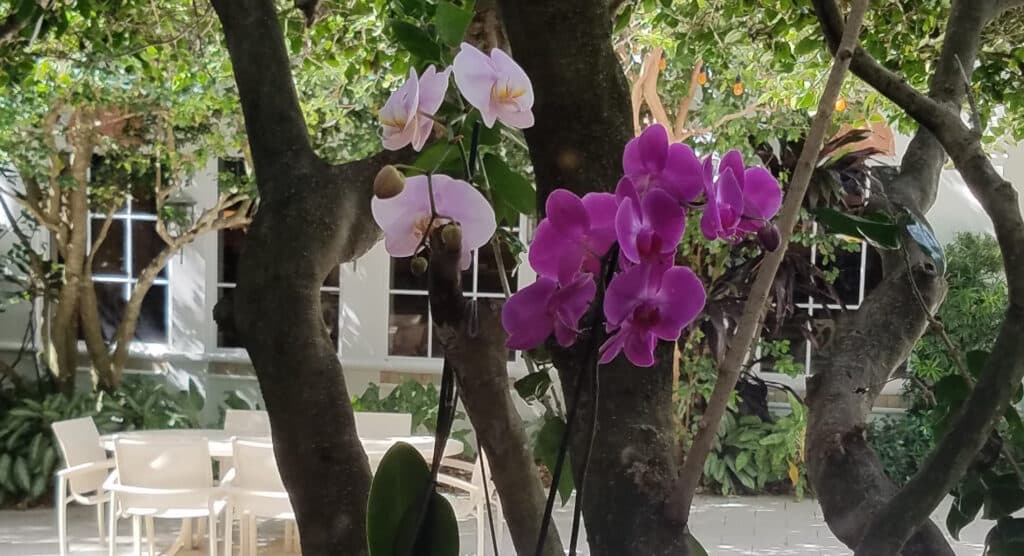 Mother’s Day