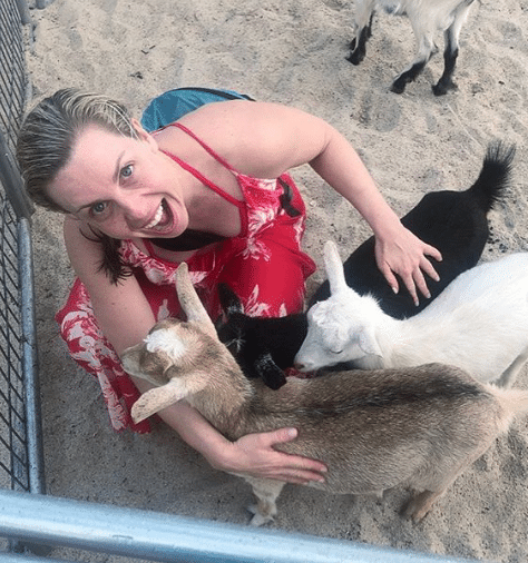 Holiday Fun and Animal Friends