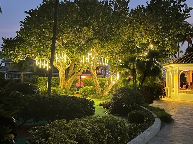 Magical Lighting and Cruise News
