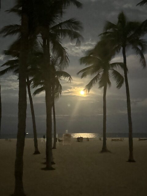 September Full Moon Yoga