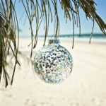 ornament palm tree beach