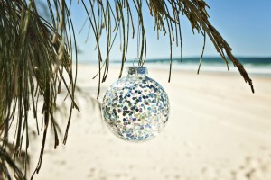 ornament palm tree beach